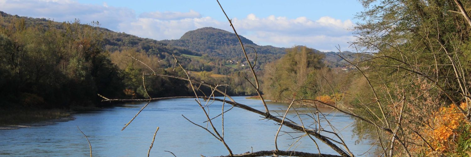 Le Rhône vu du chemin de halage.